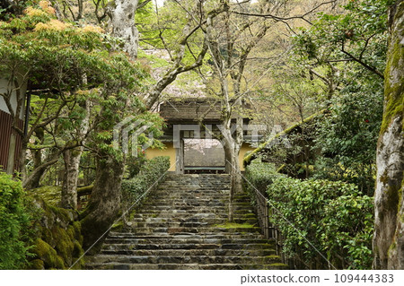 Jakko-in temple approach 109444383