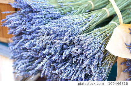 Nice. French market. Close up view of dried lavender flowers with bracts. Light purple colour. Pattern of small natural violet elements. Aromatic mediterranean product. Nice. French market. Close up view of dried lavender flowers with bracts. Light purple colour. Pattern of small natural violet elements. Aromatic mediterranean product. 109444816