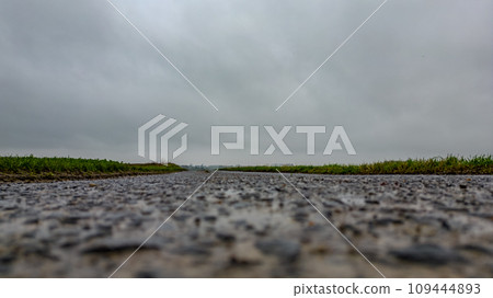 Ground Level View of a Rain-Soaked Road 109444893