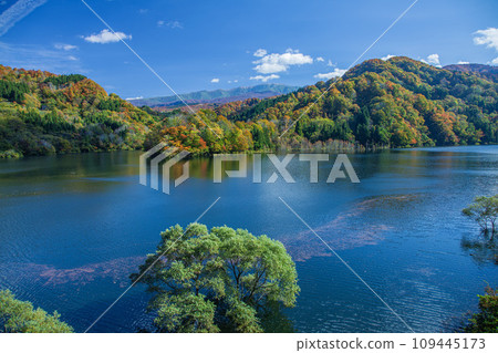 Asahi Tsukiyama Lake 109445173