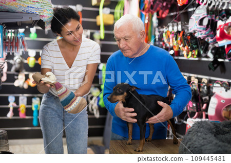 Female pet shop worker helps an elderly man to choose winter clothes for dog 109445481