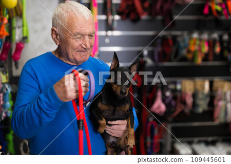 Elderly man choosing accessories for his dog in pet shop Elderly man choosing accessories for his dog in pet shop 109445601