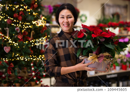 Woman buying christmas flower poinsettia 109445605