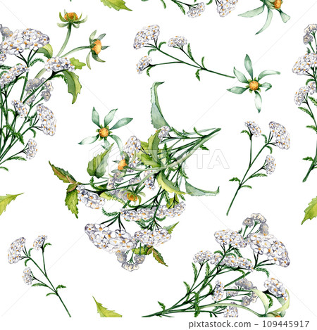 Achillea yarrow, nettle, bidens beggarticks watercolor seamless pattern isolated on white. Medicinal flowers painted. Useful herbs, medicinal plants hand drawn. Design for label, package, textile 109445917