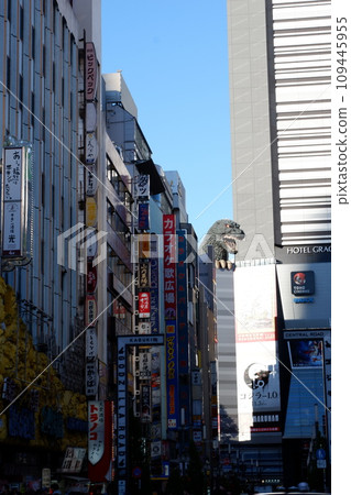 哥吉拉路沿線的城市景觀 哥吉拉路沿線的城市景觀 109445955