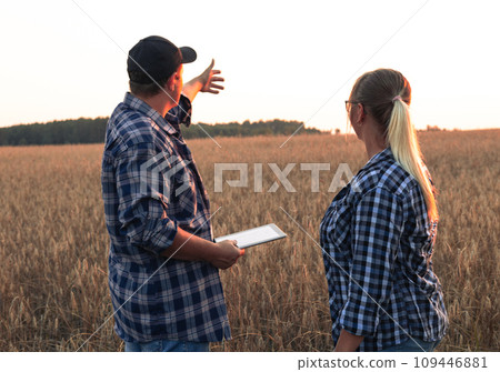 A couple of farmers at sunset are discussing the harvest while standing in a wheat field. At the end of the working day, farmers are discussing tomorrow's wheat harvest on the fields. A couple of farmers at sunset are discussing the harvest while standing in a wheat field. At the end of the working day, farmers are discussing tomorrow's wheat harvest on the fields. 109446881