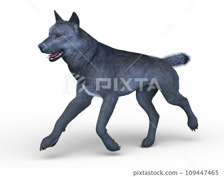 狼 109447465