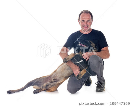 malinois and owner in studio malinois and owner in studio 109447569