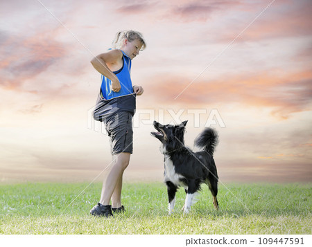 obedience training with a border collie obedience training with a border collie 109447591