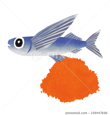 飛魚和飛魚圖解 109447686