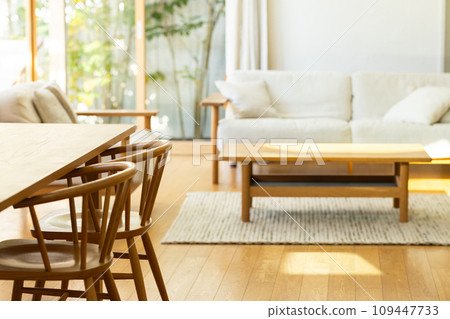 dining table and sofa 109447733