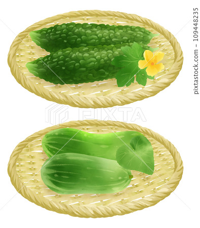 漏勺上的苦瓜和瓜的插圖集 109448235