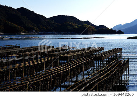 牡蠣養殖（二之島） 109448260