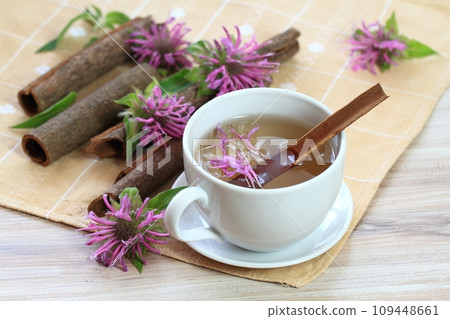 Cup of herbal tea from Monarda didyma flower head and leaves with cinnamon Cup of herbal tea from Monarda didyma flower head and leaves with cinnamon 109448661