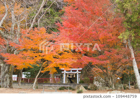 藤崎龍神風景 藤崎龍神風景 109448759