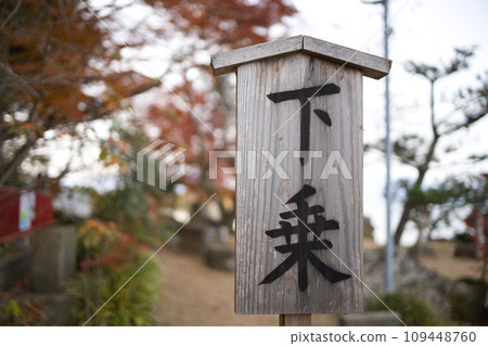 藤崎龍神風景 109448760