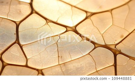 Close up texture leaf structure macro photography, abstract texture, Generative AI illustration 109448881