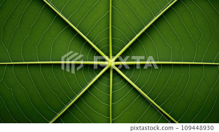 Close up texture leaf structure macro photography, abstract texture, Generative AI illustration Close up texture leaf structure macro photography, abstract texture, Generative AI illustration 109448930