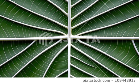 Close up texture leaf structure macro photography, abstract texture, Generative AI illustration 109448932