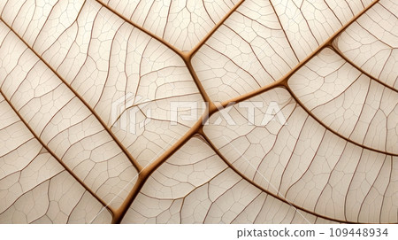 Close up texture leaf structure macro photography, abstract texture, Generative AI illustration 109448934