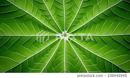 Close up texture leaf structure macro photography, abstract texture, Generative AI illustration 109448948