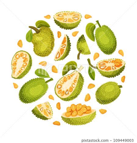 Jackfruit Natural Round Composition with Green Tropical Fruit Vector Template 109449003