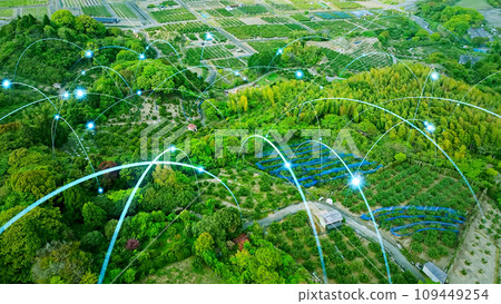 森林和網絡 109449254