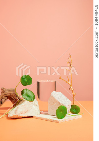 Scene for a product commercial featuring gotu kola component - transparent podium, stone, dried twigs and fresh gotu kola leaves displayed on pink background. Space for display cosmetic product Scene for a product commercial featuring gotu kola component - transparent podium, stone, dried twigs and fresh gotu kola leaves displayed on pink background. Space for display cosmetic product 109449419