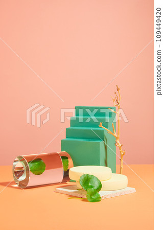 Front view of gotu kola leaves decorated with empty podiums and dry twig on pink background. Gotu kola extract is a natural beauty ingredient known for its beneficial effects 109449420