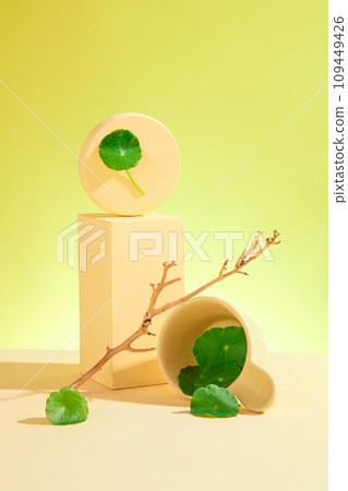 Creative background for advertising product with ingredient from centella asiatica. Fresh gotu kola leaves with beige props and podium decorated on green background Creative background for advertising product with ingredient from centella asiatica. Fresh gotu kola leaves with beige props and podium decorated on green background 109449426