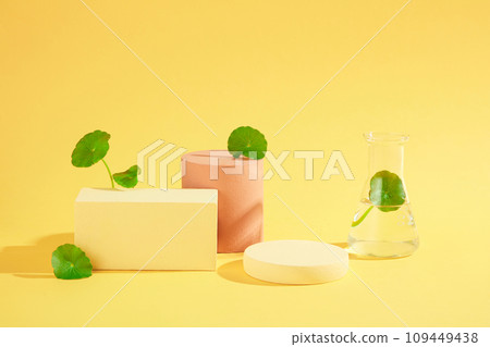 Background for cosmetic product with ingredient from gotu kola presentation. Beige and red podiums with glass flask and fresh gotu kola leaves decorated. Blank space for display and design 109449438
