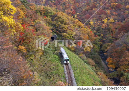 Autumn leaves, Naruko Gorge, and JR Rikuu East Line trains Autumn leaves, Naruko Gorge, and JR Rikuu East Line trains 109450007