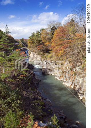 秋天的金秋天 109450019