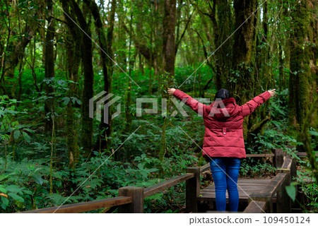 Female photographer taking nature pictures inside the rainforest Female photographer taking nature pictures inside the rainforest 109450124