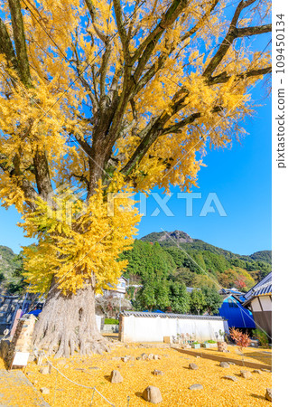 秋天的有田淳大公 佐賀縣有田町 秋天的有田淳大公 佐賀縣有田町 109450134