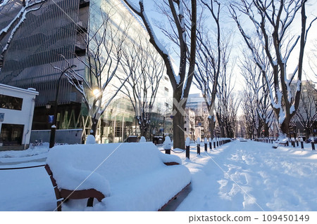 Sendai Jozenji Street in winter (Zelkova tree-lined promenade) [Sendai City, Miyagi Prefecture] 109450149