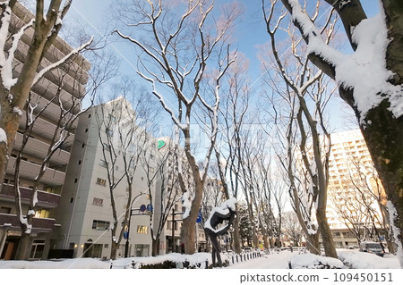 Sendai Jozenji Street in winter (Zelkova tree-lined promenade) [Sendai City, Miyagi Prefecture] 109450151