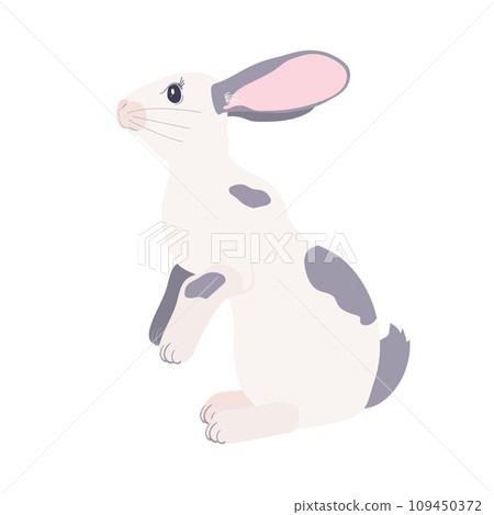 white rabbit sits on its hind legs white rabbit sits on its hind legs 109450372