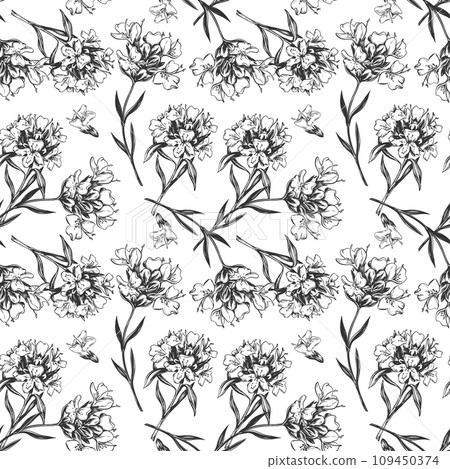 Thyme branch vector illustration isolated on white. Seamless floral pattern. A spicy ingredient in tea and Mediterranean cuisine. Herbs design for tea packaging, cosmetics, kitchen textiles, menu. Thyme branch vector illustration isolated on white. Seamless floral pattern. A spicy ingredient in tea and Mediterranean cuisine. Herbs design for tea packaging, cosmetics, kitchen textiles, menu. 109450374