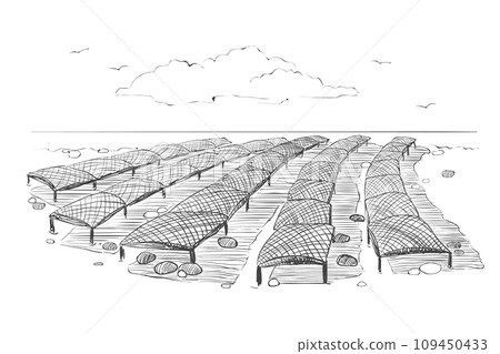 Black and white drawing on the theme of shellfish farming. Illustration of the Norman method of growing oysters. Vector graphics of an oyster farm in San Miguel Bay. 109450433