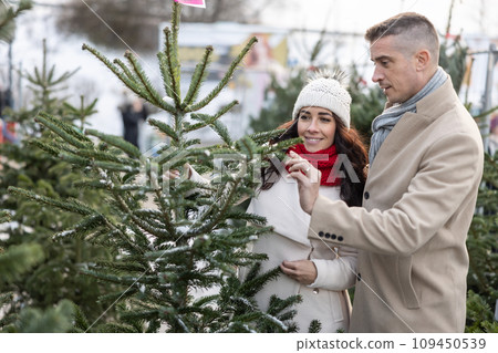 A happy couple buys a Christmas tree at the market, imported from the Nordic countries. A couple choosing a tree at a Christmas tree farm 109450539