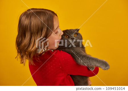 Portrait of the beautiful teen girl hugging her grey fat cat 109451014