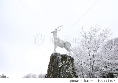 This is a winter landscape of 1100 Hill Wetland, a famous tourist attraction in Jeju Island, South Korea. 109451407