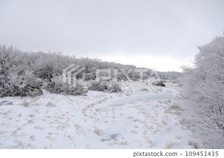 This is a winter landscape of 1100 Hill Wetland, a famous tourist attraction in Jeju Island, South Korea. 109451435