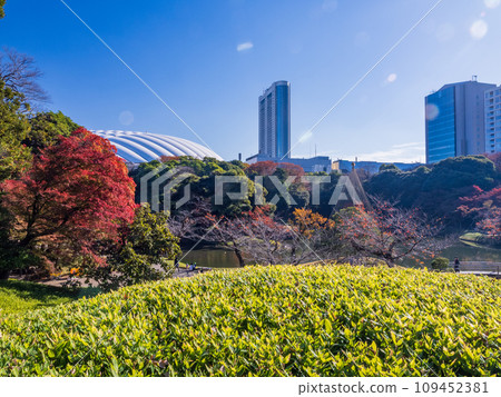 (東京)美麗的秋葉 - 小石川後樂園 (東京)美麗的秋葉 - 小石川後樂園 109452381