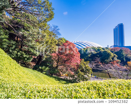 (東京)美麗的秋葉 - 小石川後樂園 (東京)美麗的秋葉 - 小石川後樂園 109452382