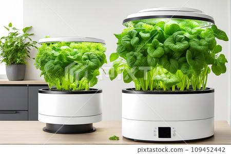 Aeroponics and hydroponics are eco-friendly. Installation for growing plants in house and anywhere. Greening technologies for home and space. Sprouts in pots under a lamp. Generated Playground Ai Aeroponics and hydroponics are eco-friendly. Installation for growing plants in house and anywhere. Greening technologies for home and space. Sprouts in pots under a lamp. Generated Playground Ai 109452442