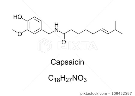 Capsaicin, chemical formula and structure. Active component in chili peppers, plants belonging to genus Capsicum. Chemical irritant and neurotoxin. As spice in food it provides spiciness and piquancy. Capsaicin, chemical formula and structure. Active component in chili peppers, plants belonging to genus Capsicum. Chemical irritant and neurotoxin. As spice in food it provides spiciness and piquancy. 109452597