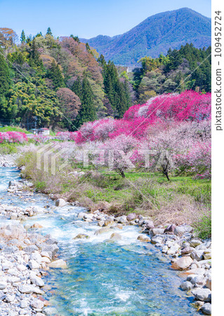 [Togenkyo] Hanamomo no Sato in Achi Village [Nagano Prefecture] 109452724
