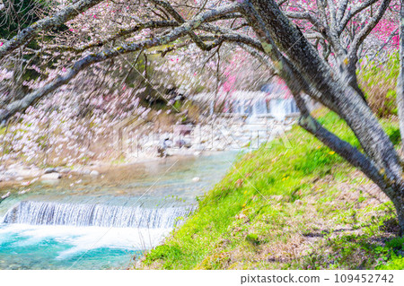 [Togenkyo] Achi村的Hanamomo no Sato [長野縣] 109452742